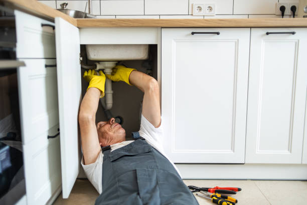 Best Local Plumber Services  in Farmington, IL