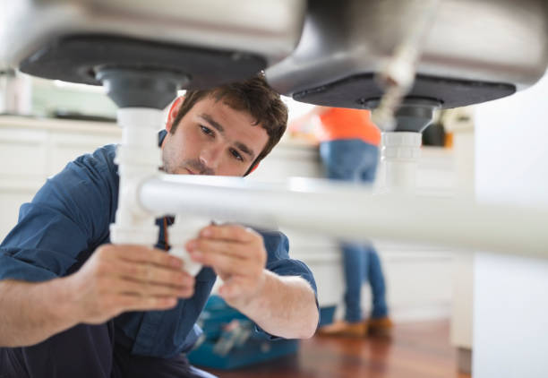 Best Clogged Drain Plumber  in Farmington, IL