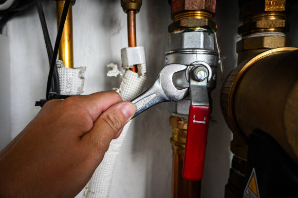 Best Sewer Line Repair  in Farmington, IL